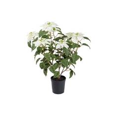 Julstjärna konstväxt vit OUTLET - Vit (H: 70 cm)
