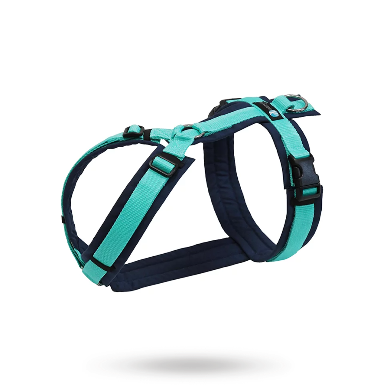 Anny-X Fun Hundsele Ocean (s)