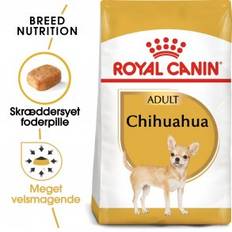 Royal Canin Chihuahua Adult