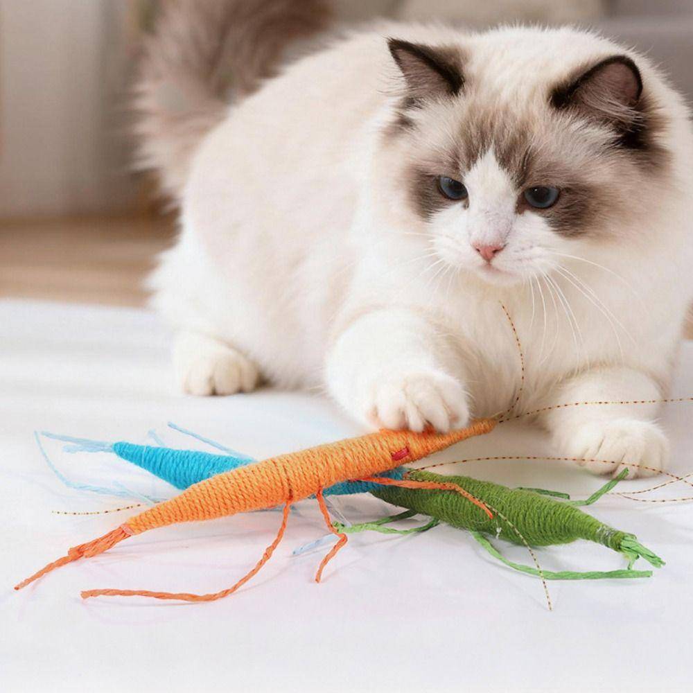 Lek med katter Ullräka Kattleksak Ullmaterial Simulerad Insekt Kattleksak Katt Tuggleksaker Husdjursleksaker