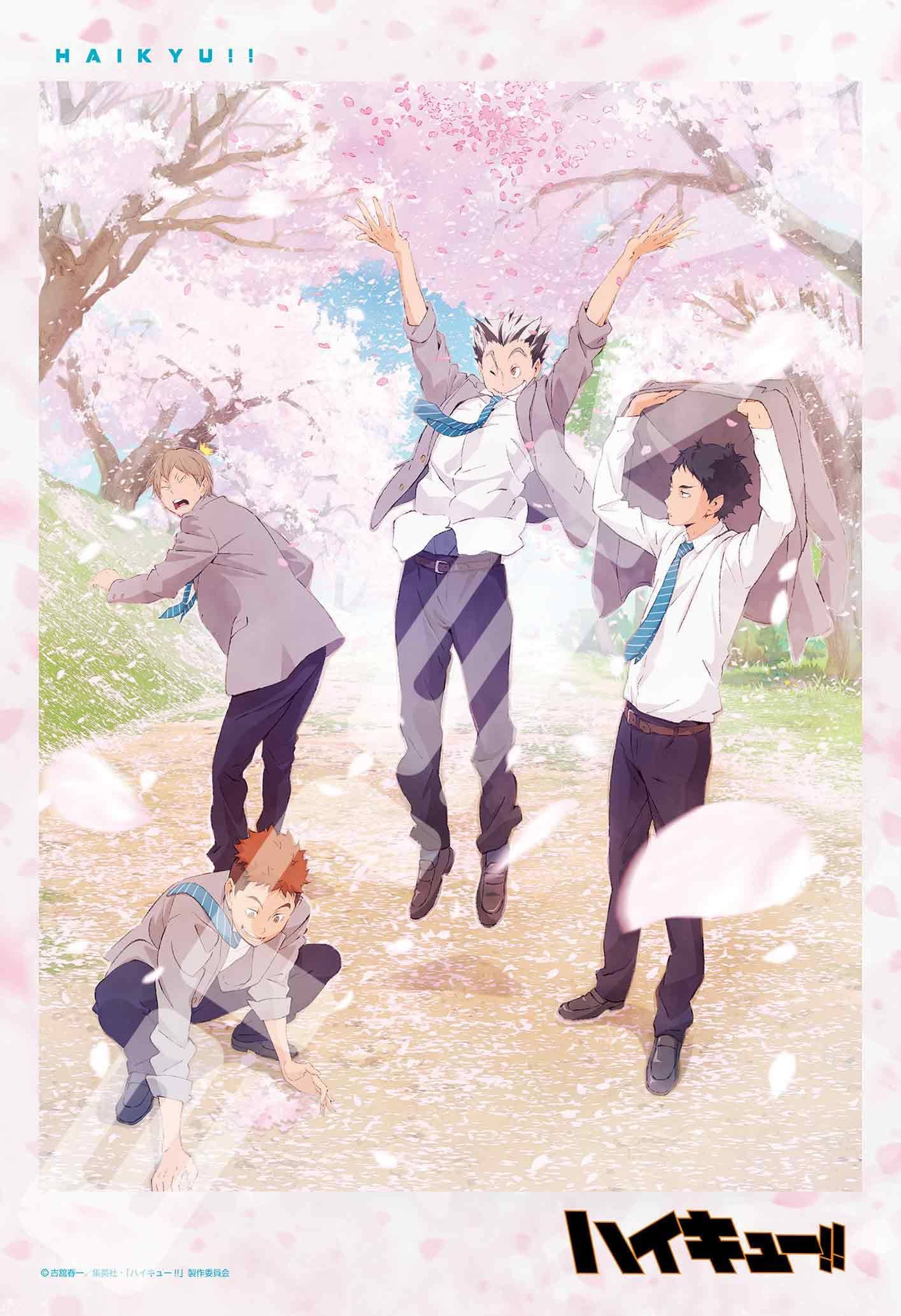ENSKY Spring in Full Bloom 26x38cm Jigsaw 300 Haikyu!! Puzzle, Pieces, 300-3068 vit