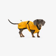 Cyclone Dog Jacket Hund Golden Yellow, Størrelse:40 - Tilbehør > Hund