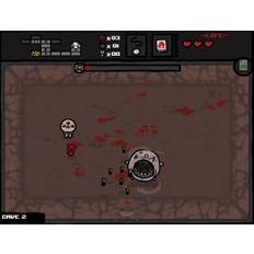 The Binding of Isaac Steam Gift