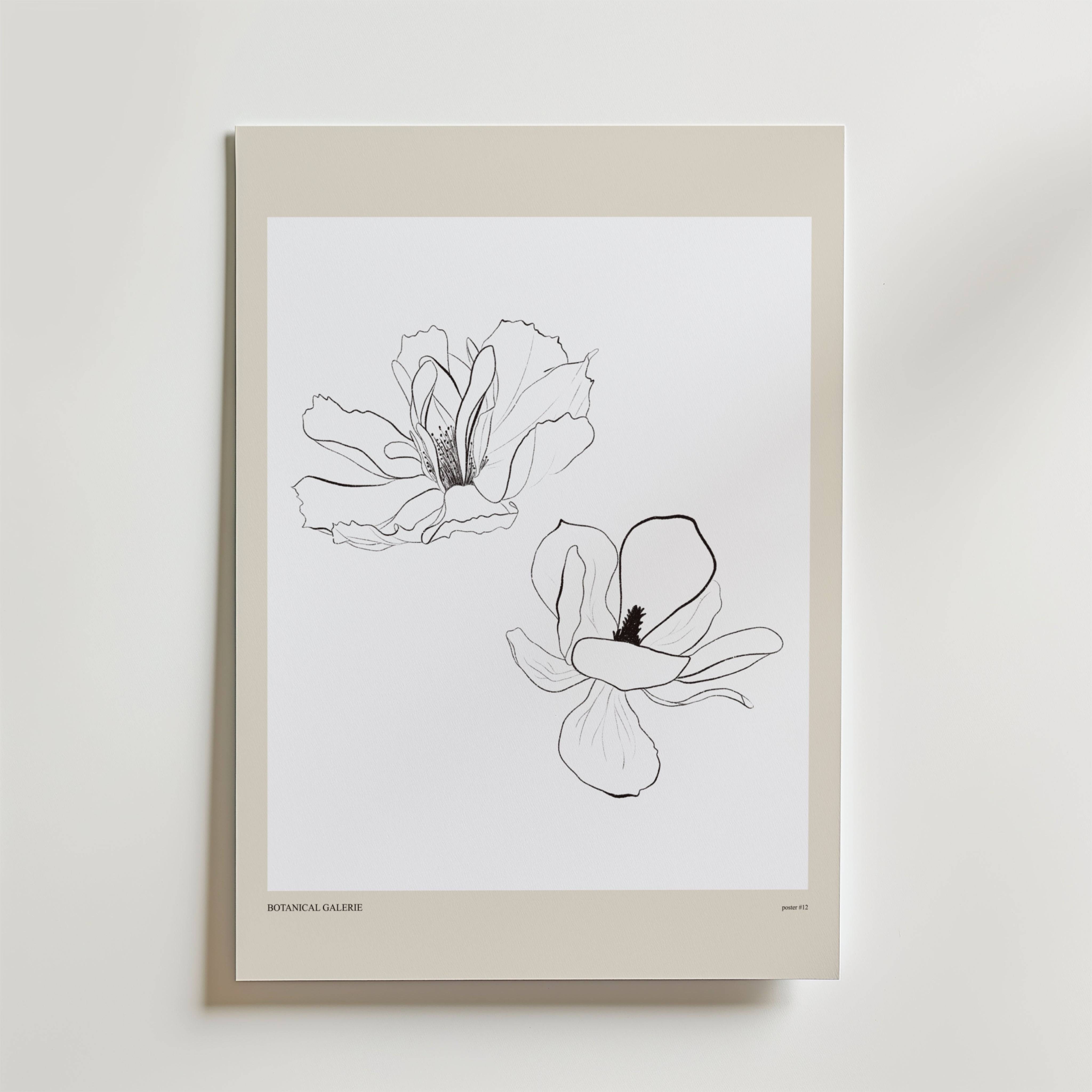Airborne Grace Poster - Fine Art Poster 21x30 cm