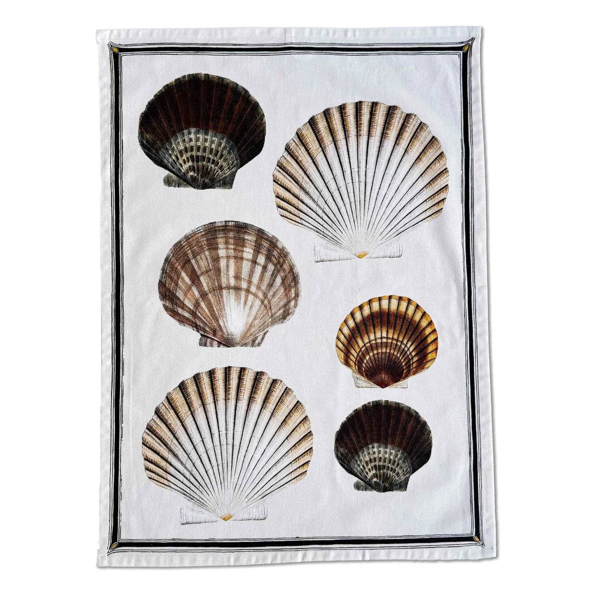 Vanillafly viskestykke - scallop shells - 50x70.