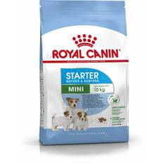 Foder Royal Canin Starter Mother And Babydog Vuxen Kyckling Fåglar 1 kg