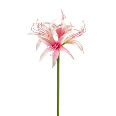 Emerald kunstig snitblomst Amaryllis Spider pink 73 cm