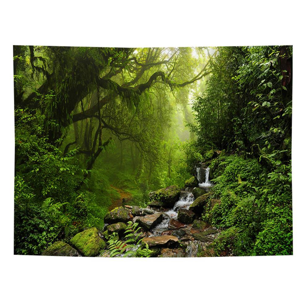 Bannerdesign til fotoboks, tropisk junglebaggrund med regnskov, stedsegrøn skovscene med brugervenligt ophængningssystem, tilpasningsmuligheder -