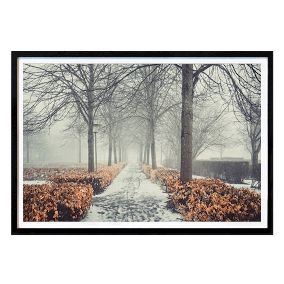 Natur Poster: Utdrag ur en bok av Anders Dissing