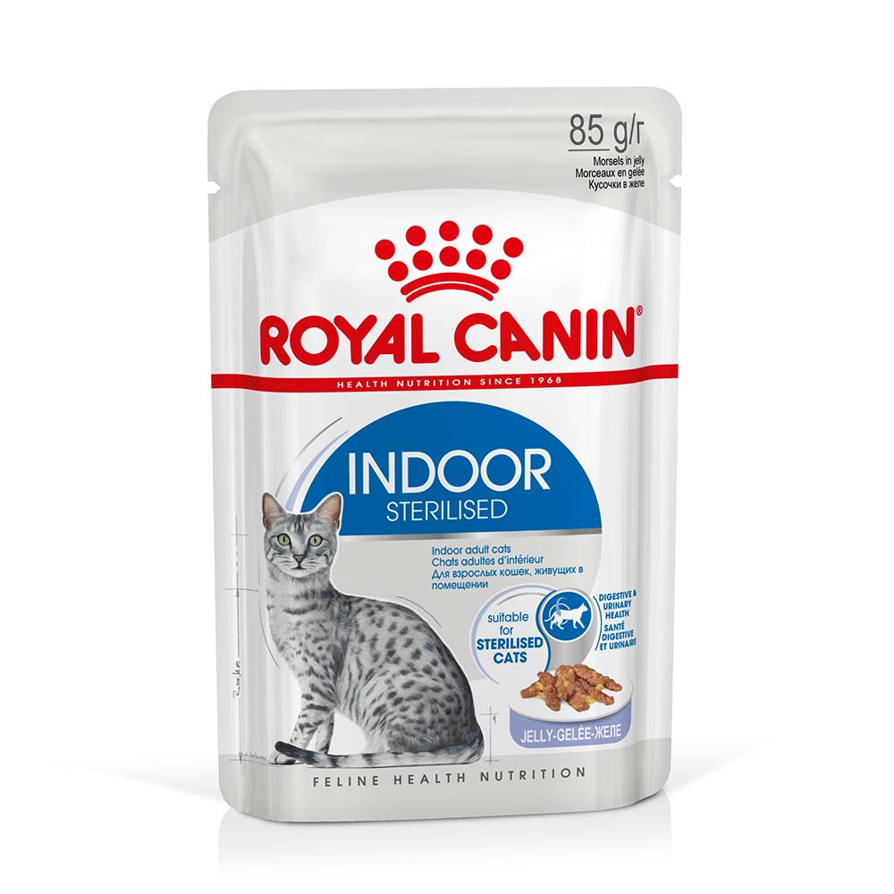 48x85g Indoor Sterilised Royal Canin vådfoder i gelé Kattemad