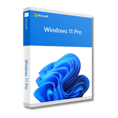 Microsoft Windows 11 Pro (OEM)