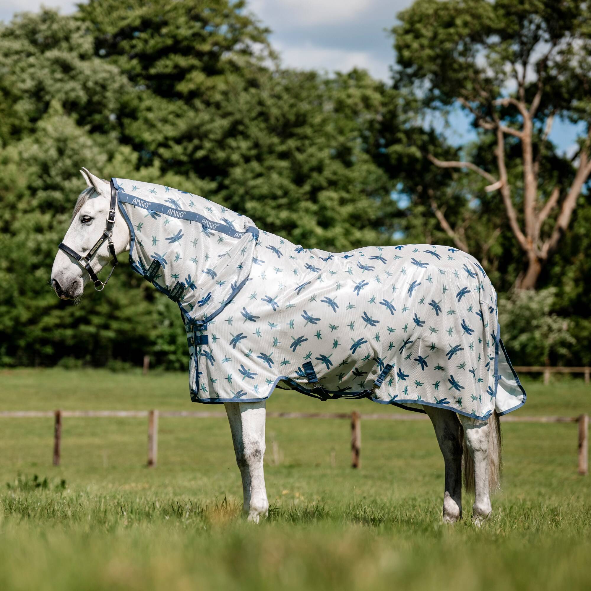 Amigo Integrated Fly Sheet -Dragonfly Print/Silver, Horseware