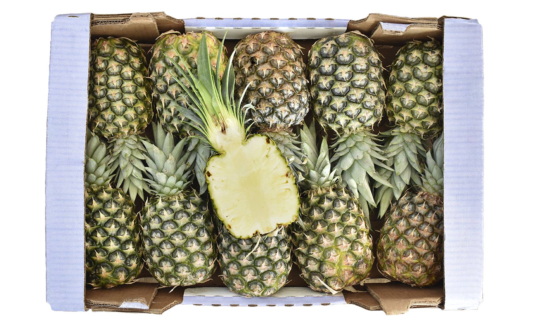 Ananas Kassen 10 kg