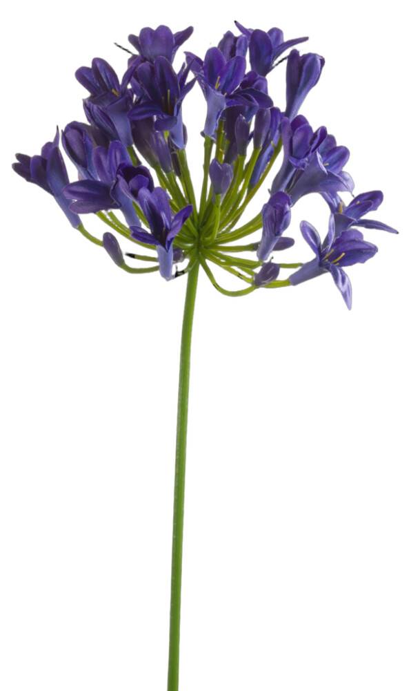 Emerald kunstig blomst Agapantus blå 75 cm