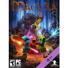 Magicka - Aspiring Musician Robes Steam Gift GLOBAL