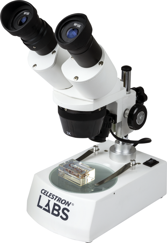 Celestron Labs S10-60 Stereo Microscope