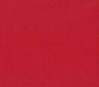 Turtle  Fotpall Läder 30 Fantasy red