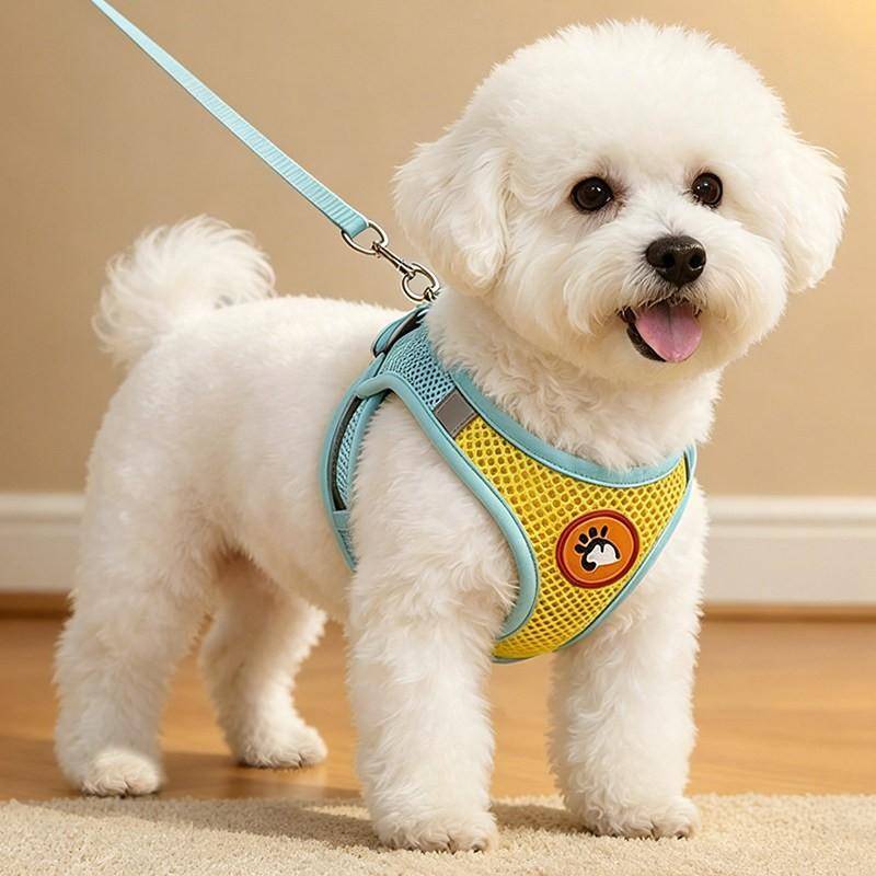Justerbar Hundsele Med Koppel Små Medelstora Raser Pomeranian Shih Tzu Bekväm Passform Reflekterande Säkerhet Promenadtillbehör