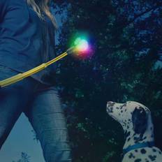 Huck 'N Tuck™ GlowStreak® Collapsible Thrower + LED Ball