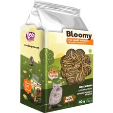 Lolopets Bloomy – Mealworm Larver