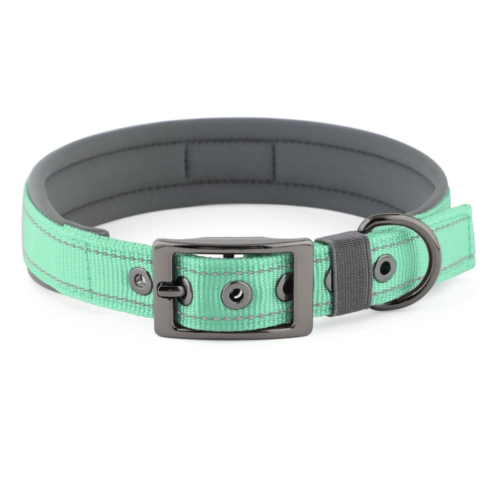 Neoprene Padded Reflective Dog Collar with Metal Buckle - Turquoise / L / SP