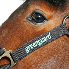 Greenguard grime, Cob/Full