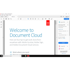 Adobe Acrobat Pro DC 2019 Key (Lifetime / 1 PC)