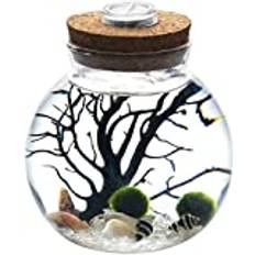 LED-terrarium nattlampa LED akvarium marimo kit – glob glasburk med 2 vattenlevande mossboll blå glasstenar fläkt korallgren och snäckskal kontor unika födelsedagspresenter (kristall)
