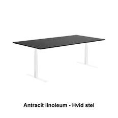 Reick Hæve-sænke-bord i Linoleum Antracit Linoleum 200 x 90 Cm Rektangulær Hvid