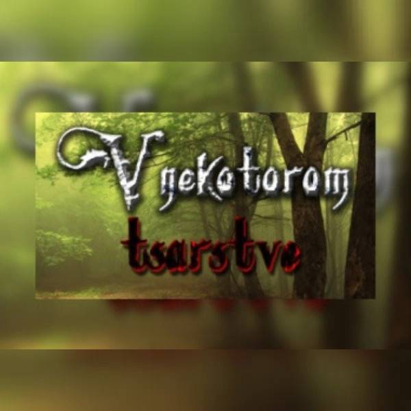 V nekotorom tsarstve (PC) Steam Key - GLOBAL