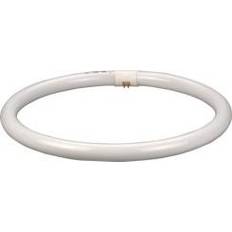 "OSRAM 22W/20-640 G10Q CIRKELRØR"