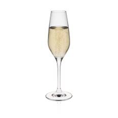 Martina champagneglas, 205 ml