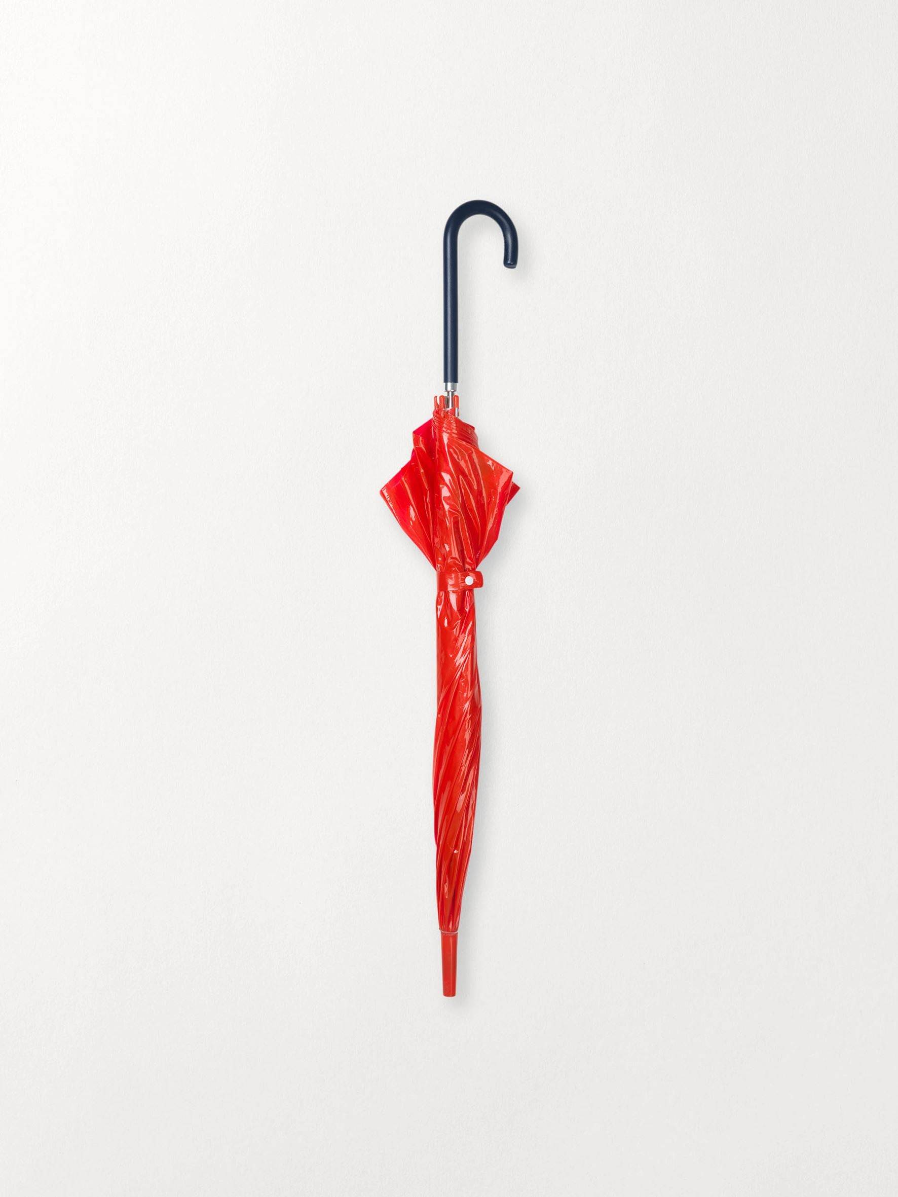Umbrella Transparent