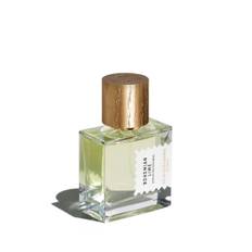 Bohemian Lime Perfume Concentrate - 50 Ml