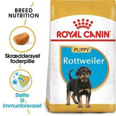 Royal Canin Rottweiler Junior 12 kg.