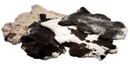 SKANDILOCK - WOOLY, KAMMAD FÅRSKINNSFÄLL, KORTHÅRIG (OFÄRGAT, VARIATION FÖREKOMMER) 100X60 CM