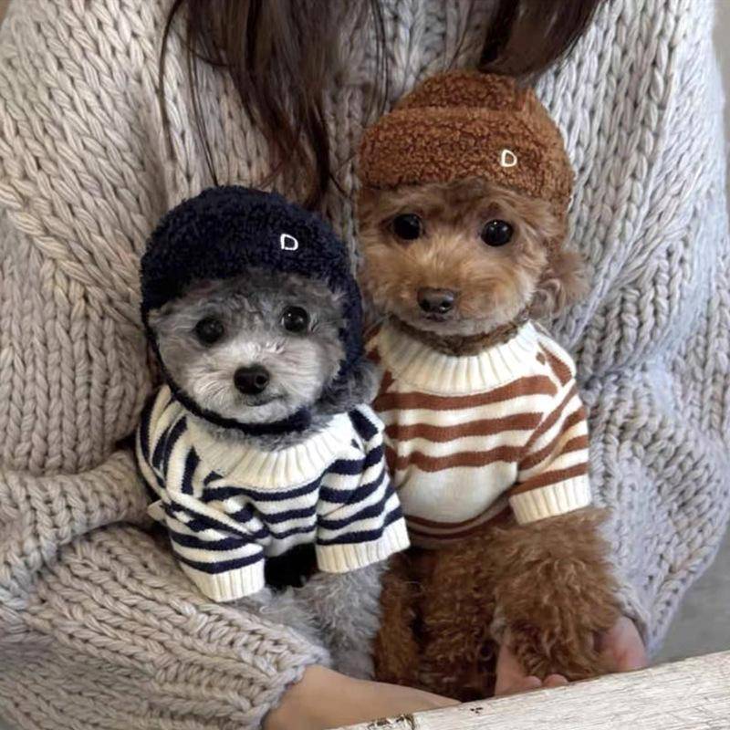 Stickad hundtröja Höst Katt Teddy Bichon VIP Pomeranian Liten Valp Husdjurskläder Höst- och Vinterkläder