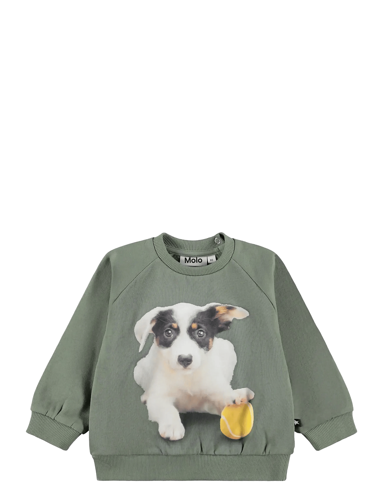 Molo Disc - Khaki green - 104