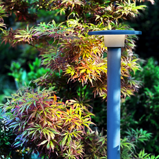 Pollare Orbit 65 LightsOn