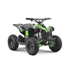 Mini-Fyrhjuling - 1060W