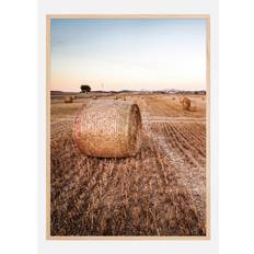 Hay Fields Poster