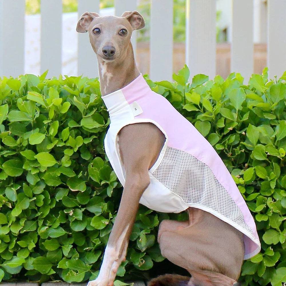 Breathable Summer Cooling Vest for Dogs & Cats - Pink / XXL (XXL)