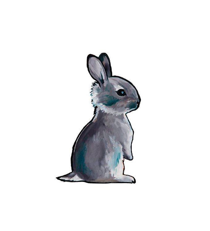 Citatplakat Affisch - A3 - Sweet Bunny - Citatplakat - One Size - Affisch