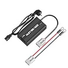 LiTime 12V 10A Batterieladegerät 14,6V AC-DC LiFePO4 Lithium-Batterie-Ladegerät mit Anderson-Anschluss LED-Anzeige Ladegerät speziell für Deep-Cycle-Akkus von Auto, LKW, Boot, WoMo