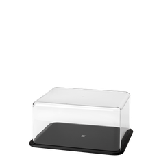 CONTAIN-IT cheese box