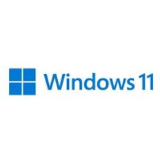 Windows 11 Pro - Boxpaket - 1 licens - flashdrive - 64-bit - finska