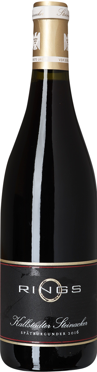 2021 Spätburgunder Kallstadter Steinacker, 1. Lage, Weingut Rings, Pfalz