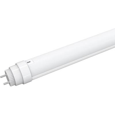 120cm / 10/15W T8-120 LED-lysör - 200lm/w, roterbar sockel, 5 års garanti - Kulör : Dagsljus
