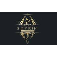 Elder Scrolls V: Skyrim Anniversary Edition (PS4) (Account) - Anniversary