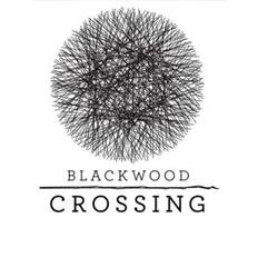 Blackwood Crossing (PC) - Steam Gift - GLOBAL